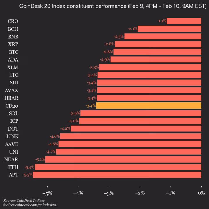 9am CoinDesk 20 Update for 2026-02-10: vertical
