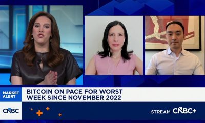 Still excited about long-term crypto view but people are scared right now: Pantera's Cosmo Jiang