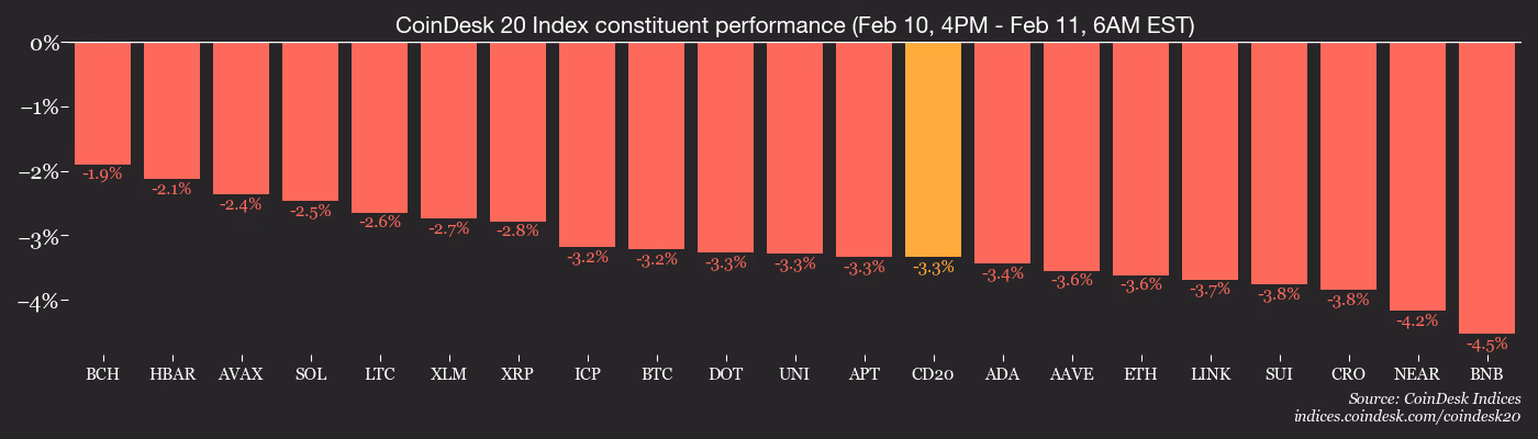 CD20, Feb. 11 2026 (CoinDesk)