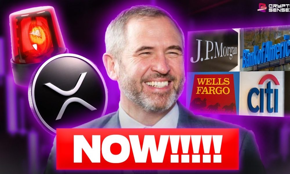 XRP ALERT!!! BANKS MUST TAKE ACTION NOW!! (XRP TAKEOVER!?!)