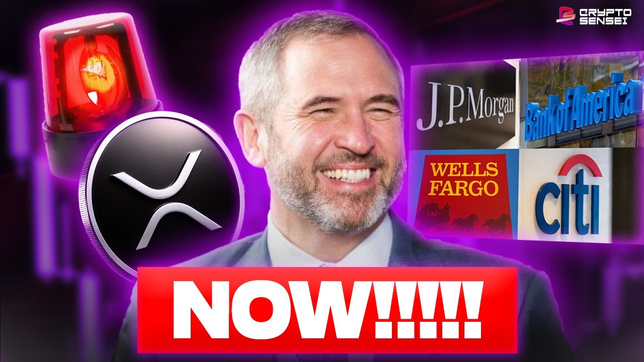 XRP ALERT!!! BANKS MUST TAKE ACTION NOW!! (XRP TAKEOVER!?!)