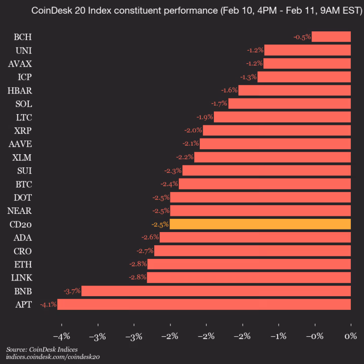 9am CoinDesk 20 Update for 2026-02-11: vertical