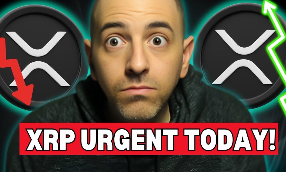 XRP Just In: Is THIS the Good NEWS We’ve Been Waiting For? What The White House Just Said!