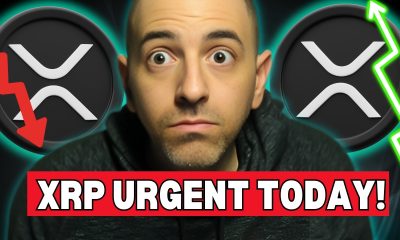 XRP Just In: Is THIS the Good NEWS We’ve Been Waiting For? What The White House Just Said!