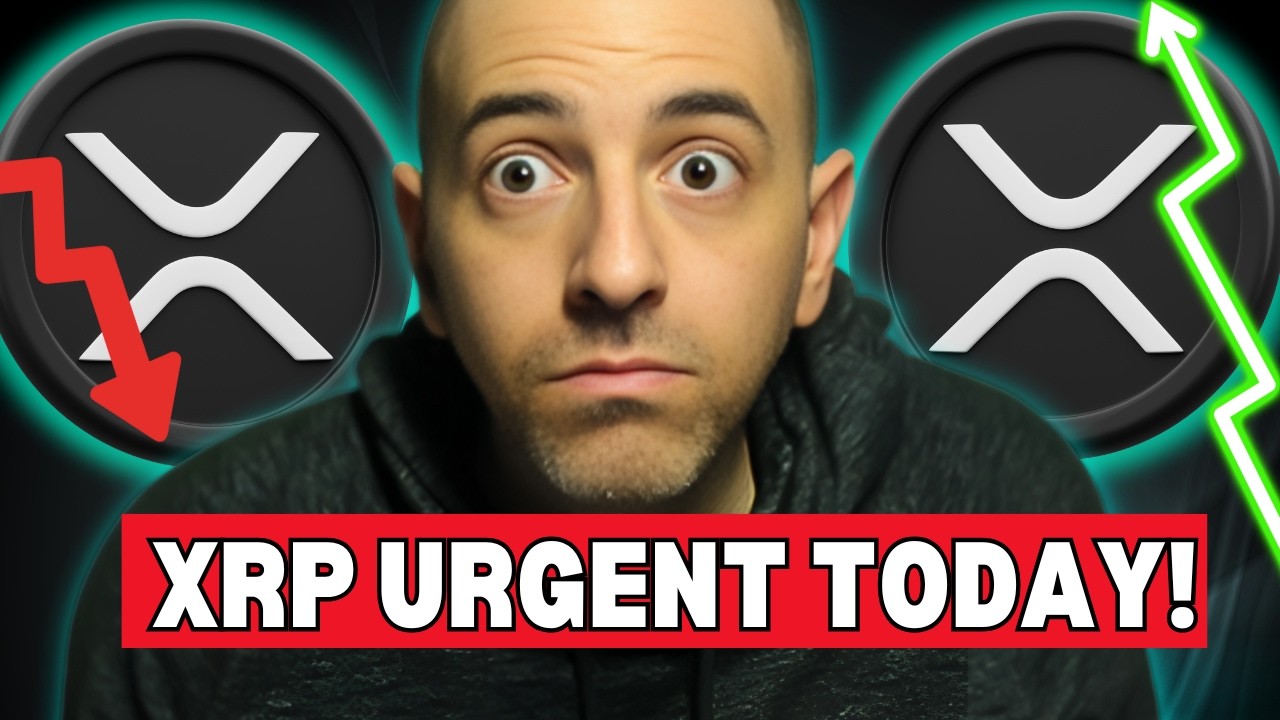 XRP Just In: Is THIS the Good NEWS We’ve Been Waiting For? What The White House Just Said!