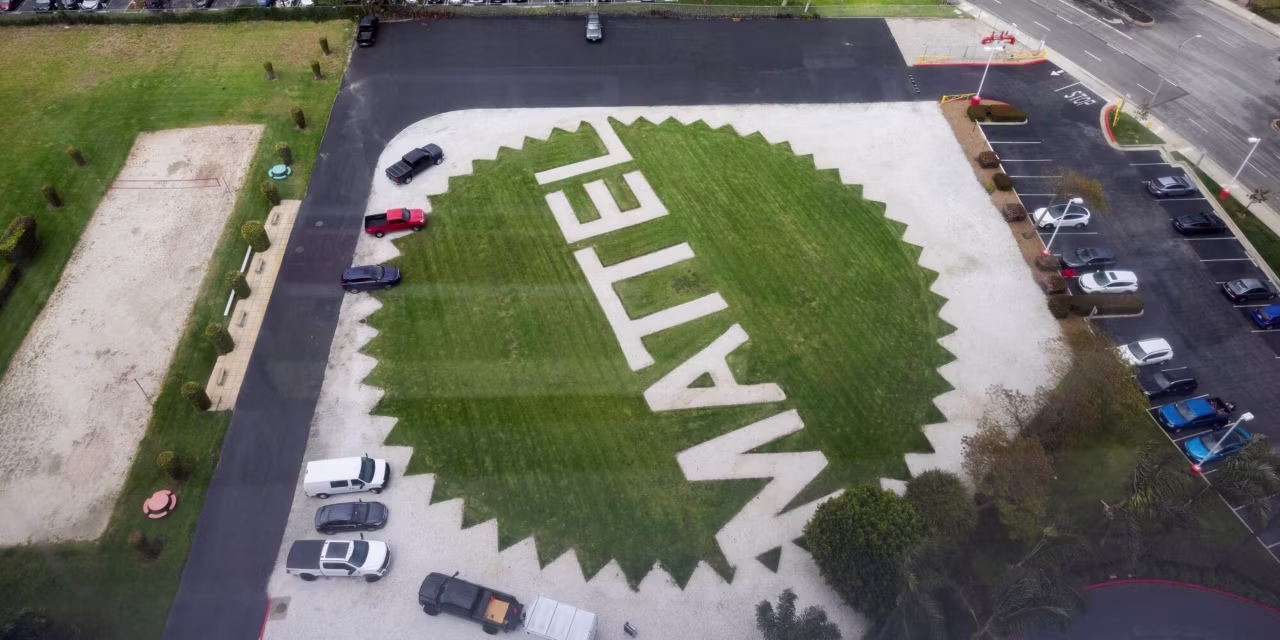 Mattel Shares Drop 28% After Toy Maker’s Holiday Sales Sputter