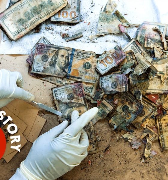 Mutilated Money? This Place Will Give You a Fresh Stack