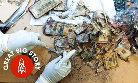 Mutilated Money? This Place Will Give You a Fresh Stack
