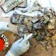 Mutilated Money? This Place Will Give You a Fresh Stack