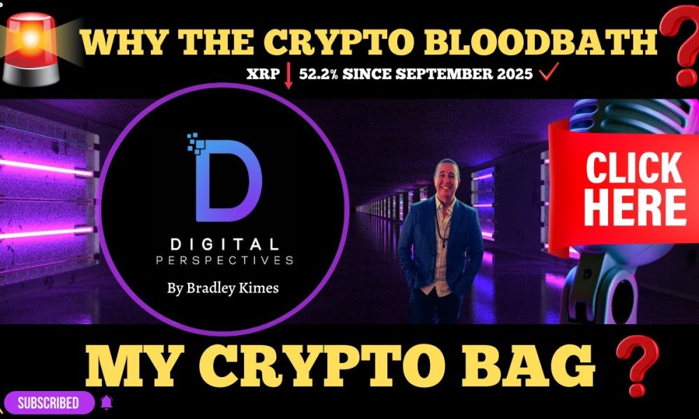 XRP- Why The Crypto Bloodbath? -  My Crypto Bag?