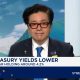 Tom Lee on Precious Metals, Crypto & Stocks