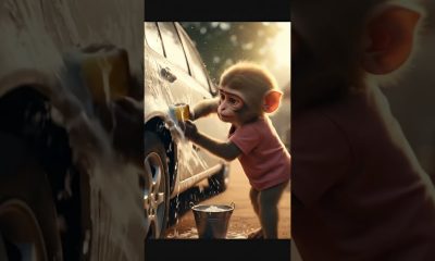 monkey man a little sister and me so imotional story #story #money #ai #shorts