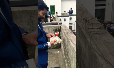 Pakistani Wedding Money Rain