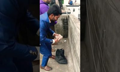 Pakistani Wedding Money Rain Punjab  #viralvideo #barsaat #weddingmoments #shaadi