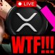 XRP CRASHING LIVE NOW!! SHUTDOWN NEWS