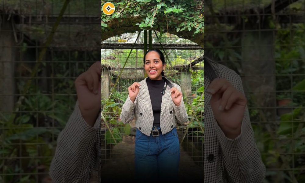 Rs.50,000 Course Just Rs.15,000? 70% Mega Offer | COINT TRADE ACADEMY Biggest Drop of the Year