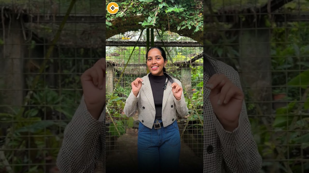 Rs.50,000 Course Just Rs.15,000? 70% Mega Offer | COINT TRADE ACADEMY Biggest Drop of the Year