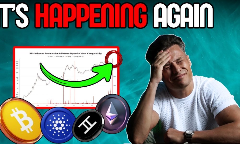 Crypto Whales Just Revealed Their Plan! This Is The Most INSANE Move!