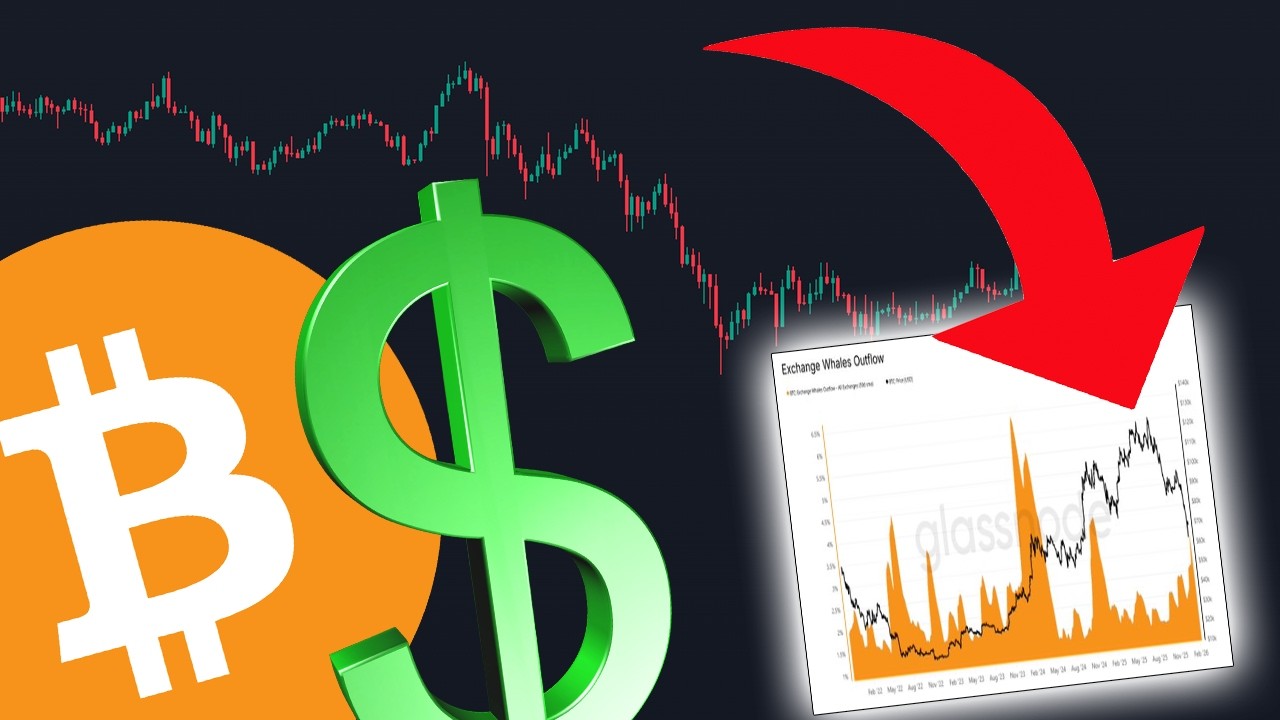 BITCOIN HOLDERS... THESE CHARTS REVEALS THE BOTTOM