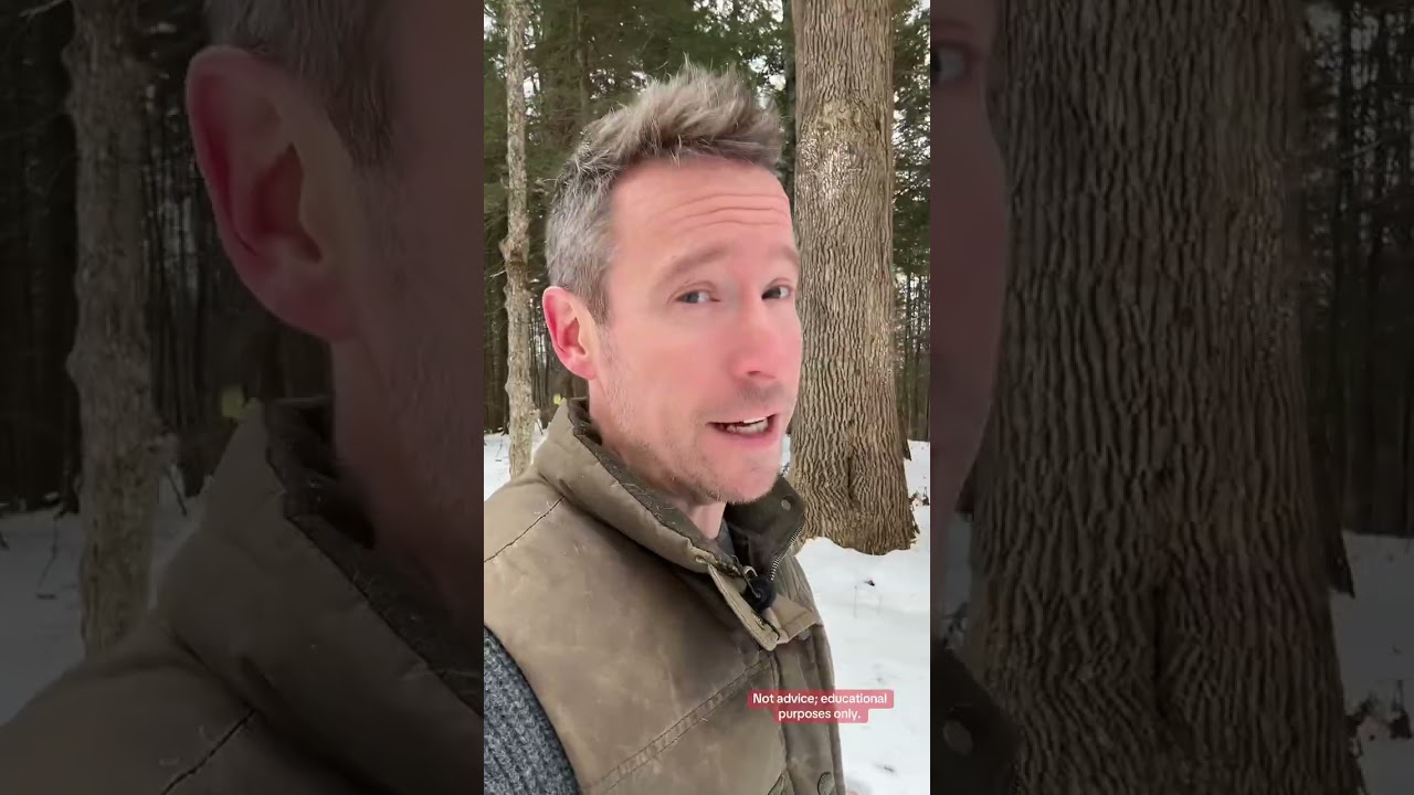 The #investing Video #financialadvisors don't want you to see #money #finance #wealth #tyler