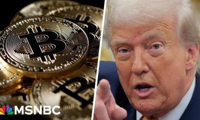 ‘Kleptocracy’: Trump’s involvement in crypto is ‘open grift’, Ben McKenzie says