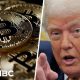 ‘Kleptocracy’: Trump’s involvement in crypto is ‘open grift’, Ben McKenzie says