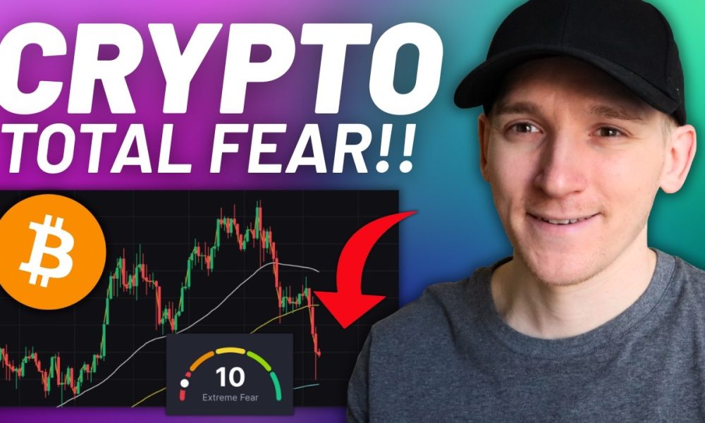 Crypto Alert: Absolute Fear Is The Opportunity