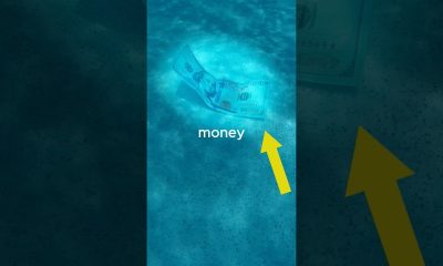 How much money can you find in a pool?