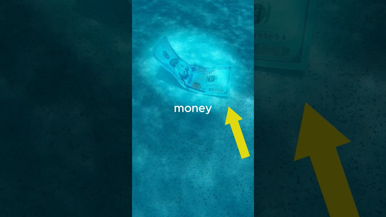 How much money can you find in a pool?