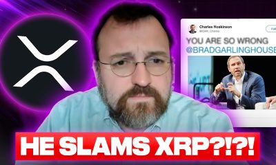 XRP WARNING!!!! THIS IS INSANE
