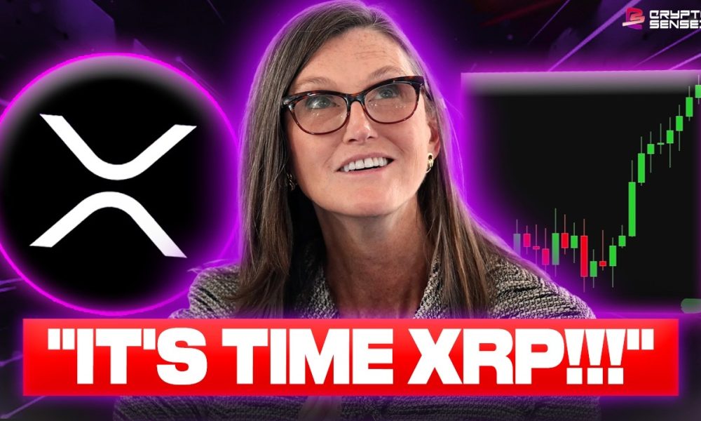 CATHIE WOOD JUST EXPOSED XRP! SUPERCYCLE INCOMING?!?!