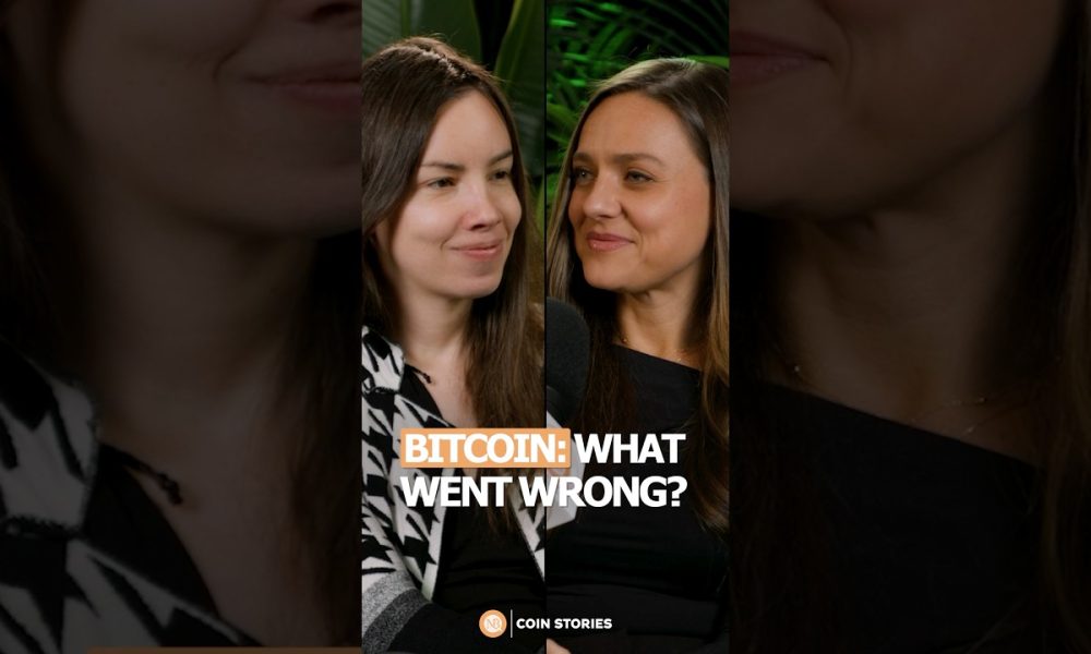 Lyn Alden’s Bitcoin Price Predictions