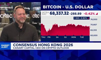 2026 will be 'bear leg' of four-year crypto cycle: Canary Capital