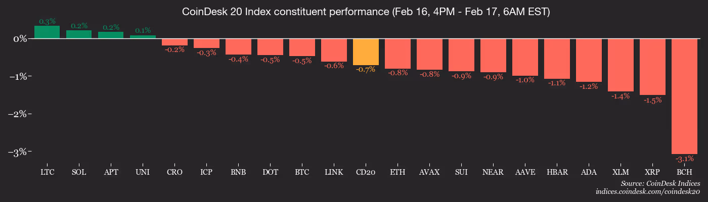 CD20, Feb. 17 2026 (CoinDesk)