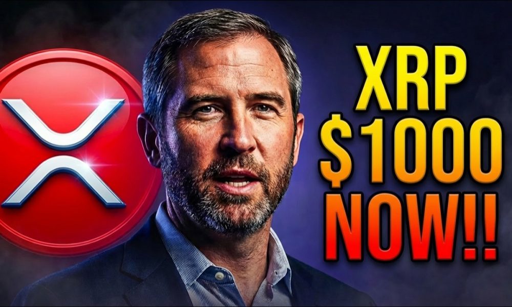 XRP NEWS TODAY : Ripple's CTO Just Revealed What's Happening Next