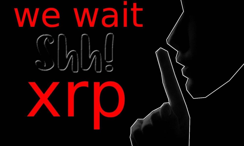 ripple xrp my heart is racing im shaking like a leaf it's imminent