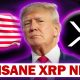 INSANE XRP NEWS!!! USA MOVING FORWARD WITH XRP???? (THIS IS HUGE)
