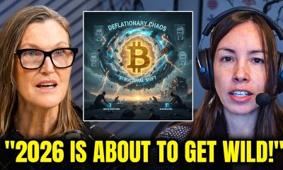 Brace Up for a WILD RIDE! Bitcoin's About to SHOCK Everyone - Cathie Wood & Lyn Alden