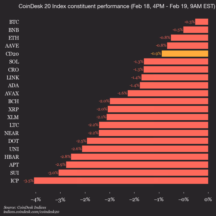 9am CoinDesk 20 Update for 2026-02-19: vertical
