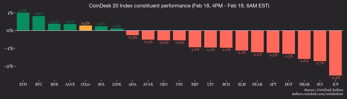 CD20, Feb. 19 2026 (CoinDesk)