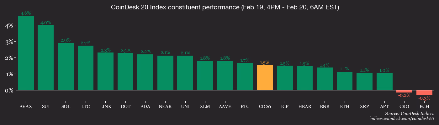 CD20, Feb 20 2026 (CoinDesk)