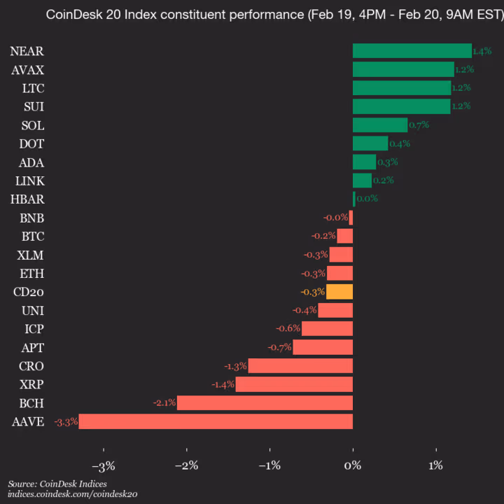 9am CoinDesk 20 Update for 2026-02-20: vertical