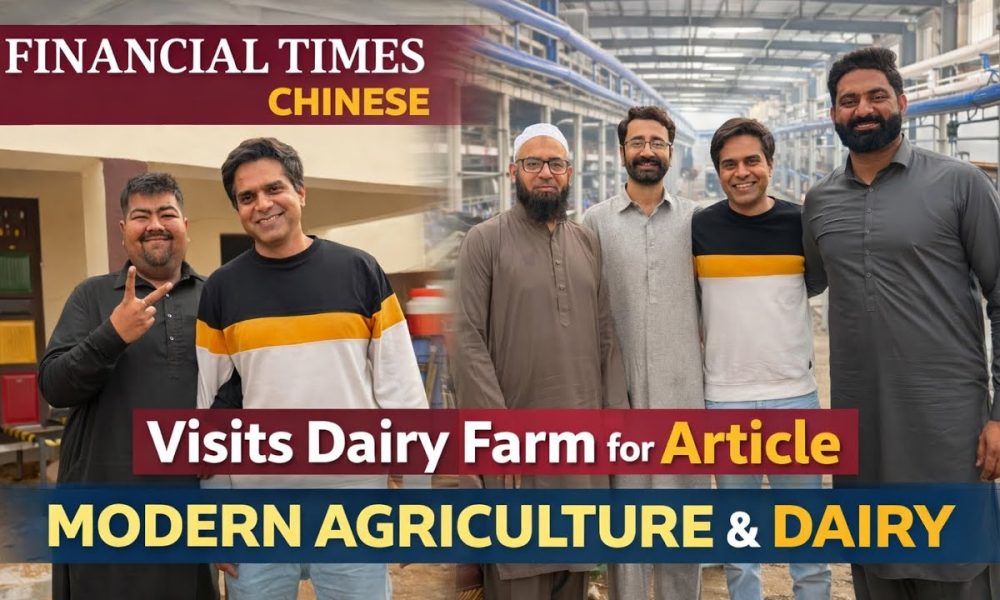 Financial Times Chinese NewsPaper | Vist dairy Farm | Tree plantation | Dhillon Dairy Farm