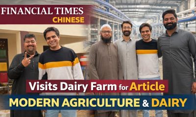 Financial Times Chinese NewsPaper | Vist dairy Farm | Tree plantation | Dhillon Dairy Farm