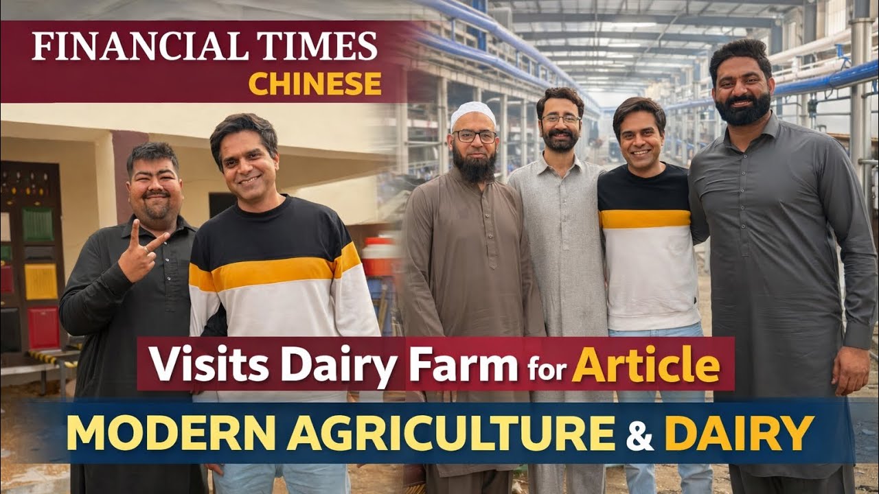 Financial Times Chinese NewsPaper | Vist dairy Farm | Tree plantation | Dhillon Dairy Farm