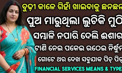 Meaning Of Financial Services And Types of Financial services || Financial services means and Types