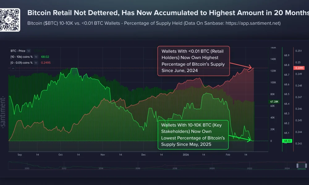 Bitcoin Investor Behavior. Source: Santiment