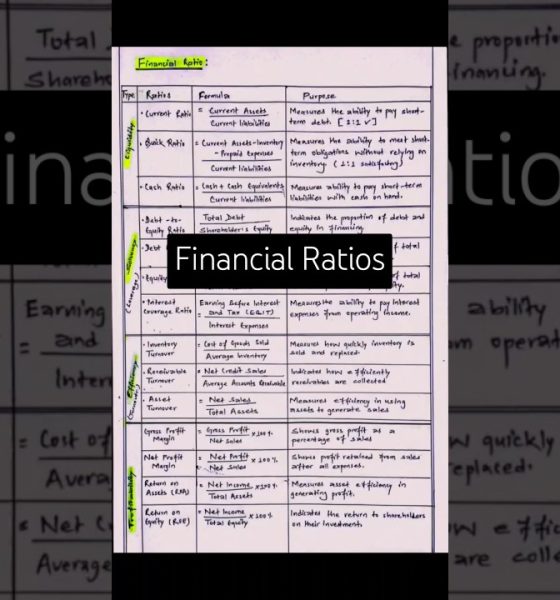financial ratios