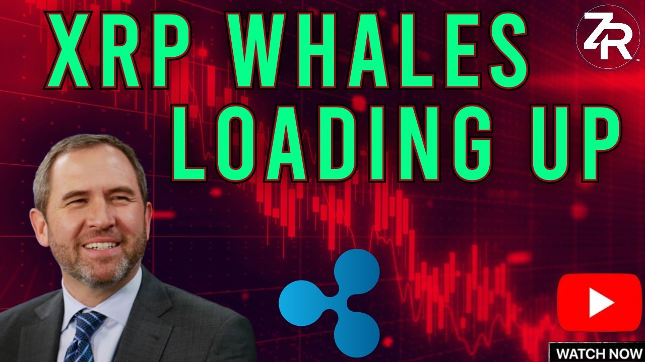 XRP Whales Loading UP!