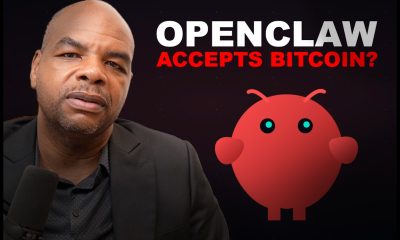 Why OpenClaw Agents Need Bitcoin [Need some free BTC?]